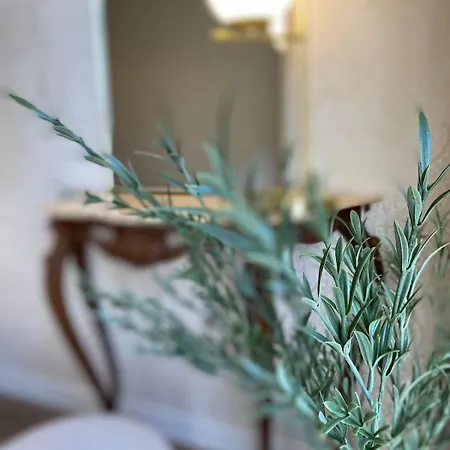 Ueber Den Daechern Von - Parkplatz & E-ladestation 트리에스테